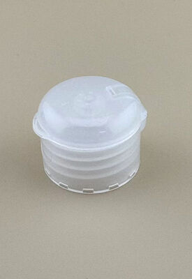 Plastik PP disesuaikan warna deterjen sekrup Flip Top Cap Cairan Sampo Botol